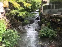 奥湯河原温泉 青巒荘（せいらんそう）の写真・動画_image_359629