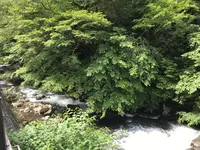 大雄山最乗寺の写真・動画_image_359664