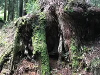 大雄山最乗寺の写真・動画_image_359714