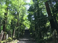 大雄山最乗寺の写真・動画_image_359741