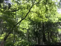 大雄山最乗寺の写真・動画_image_359744