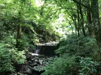 大雄山最乗寺の写真・動画_image_359777