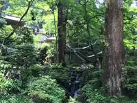 大雄山最乗寺の写真・動画_image_359827