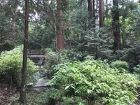 大雄山最乗寺の写真・動画_image_359832