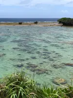 ザネー浜の写真・動画_image_359834