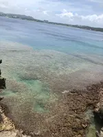 真栄田岬の写真・動画_image_359842