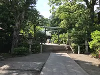 小田原城址公園の写真・動画_image_359884