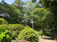小田原城址公園の写真・動画_image_359897