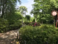 小田原城址公園の写真・動画_image_359900