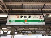 小田原城址公園の写真・動画_image_359965