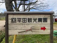 平田観光農園の写真・動画_image_360498
