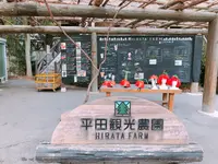 平田観光農園の写真・動画_image_360510