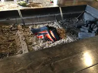 手打ちそば山菜料理 わらべの写真・動画_image_360562