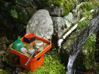 日吉大社 東本宮 本殿の写真・動画_image_360643