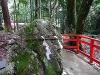 日吉大社 東本宮 本殿の写真・動画_image_360644