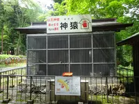 日吉大社の写真・動画_image_360646
