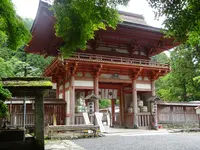 日吉大社の写真・動画_image_360648