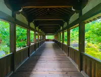 嵯峨釈迦堂（清凉寺）の写真・動画_image_360688