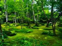 祇王寺の写真・動画_image_360738