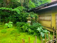 祇王寺の写真・動画_image_360742