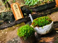祇王寺の写真・動画_image_360744