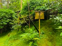 祇王寺の写真・動画_image_360754