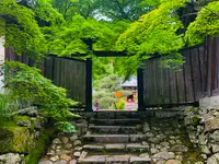 二尊院の写真・動画_image_360759