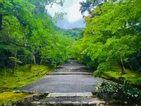 二尊院の写真・動画_image_360761