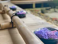 二尊院の写真・動画_image_360762