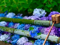 二尊院の写真・動画_image_360767