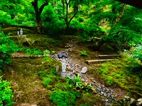 二尊院の写真・動画_image_360771