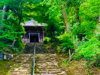 二尊院の写真・動画_image_360776