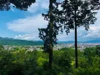 二尊院の写真・動画_image_360777