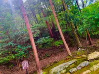 二尊院の写真・動画_image_360779