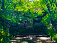 常寂光寺の写真・動画_image_360782