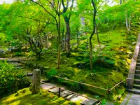 常寂光寺の写真・動画_image_360786
