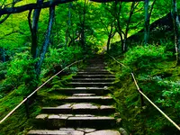 常寂光寺の写真・動画_image_360792
