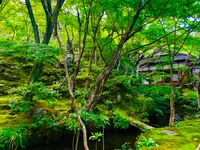 常寂光寺の写真・動画_image_360801