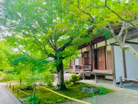 常寂光寺の写真・動画_image_360805
