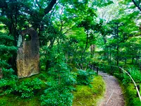 常寂光寺の写真・動画_image_360807