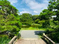 梅宮大社の写真・動画_image_361252