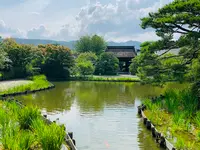 梅宮大社の写真・動画_image_361257