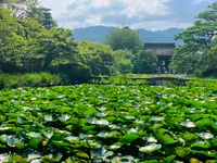 梅宮大社の写真・動画_image_361258