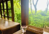 茂庵の写真・動画_image_361298