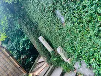茂庵の写真・動画_image_361302