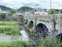 ベグアウトの写真・動画_image_361311
