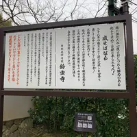 kopin_Journeyの写真・動画_image_361714