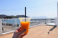 アヲハタ ジャムデッキの写真・動画_image_362144