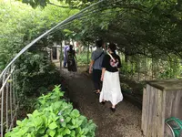 cafe la familleの写真・動画_image_362271