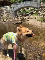轟ノ滝の写真・動画_image_362433